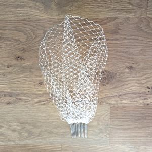 Birdcage Veil with Tiny Jewels